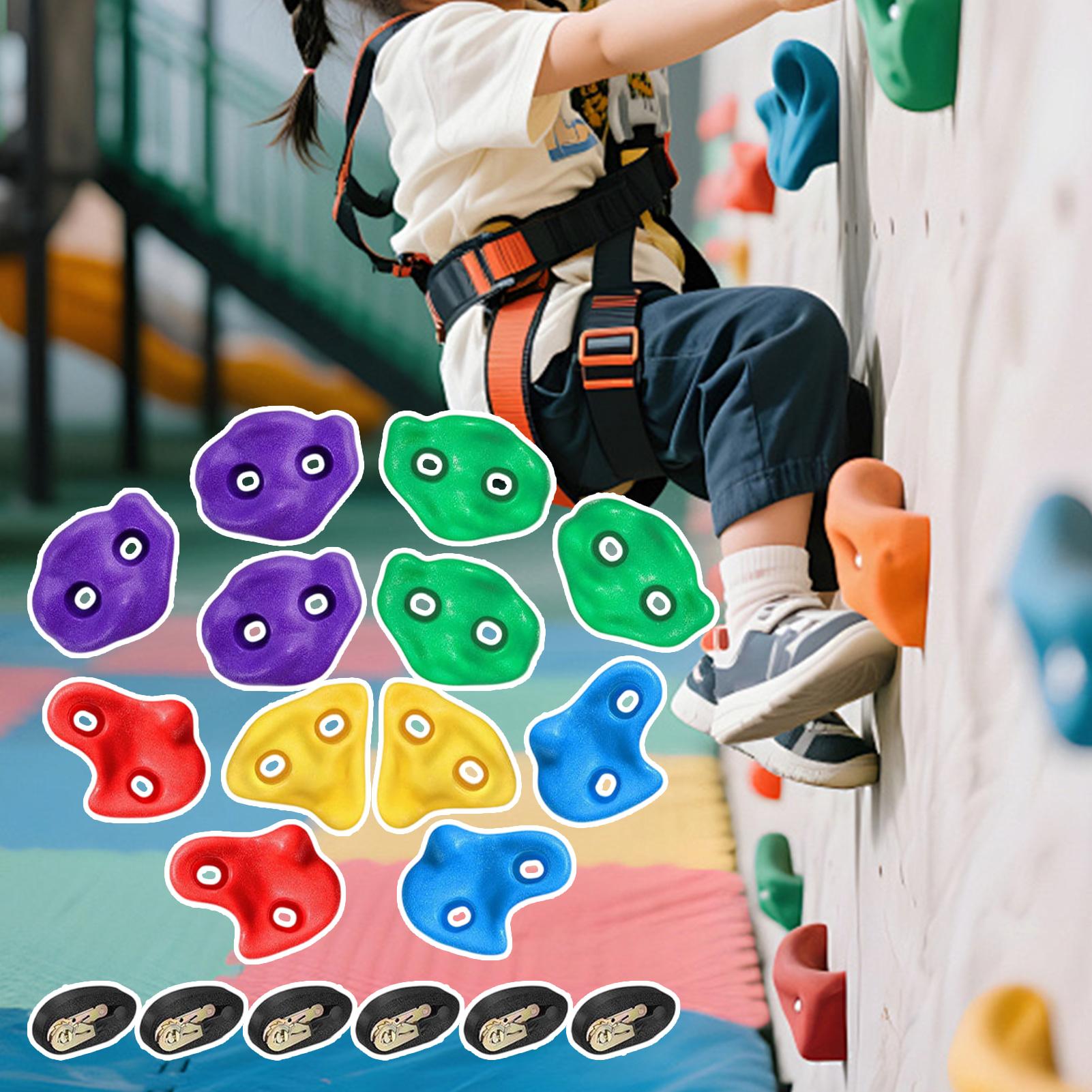 屋外遊具 6本のラチェットストラップ付き障害物コース トレー - Kids Outdoor Obstacle Course Equipment のレビューと価格