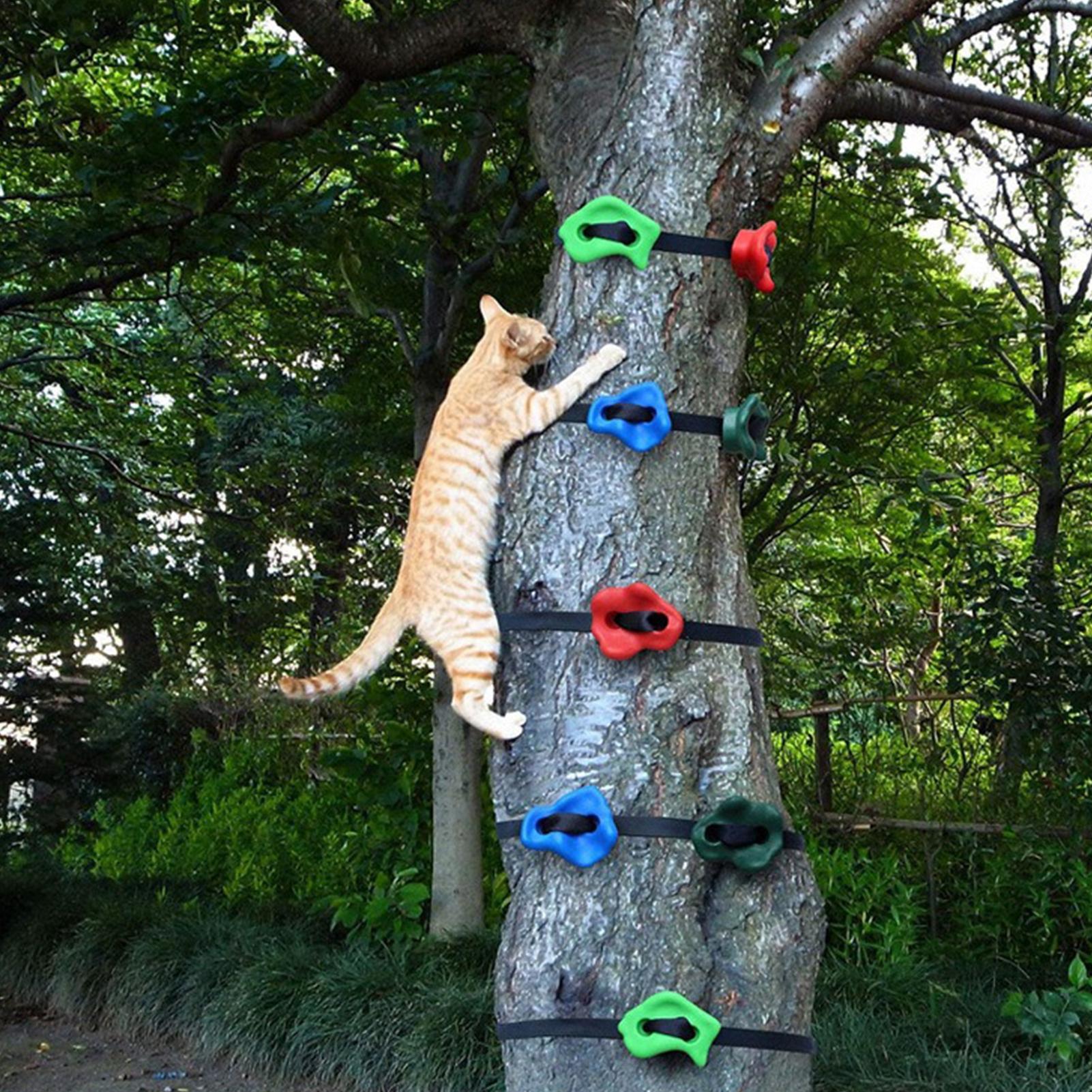 屋外クライミング遊具 調節可能な頑丈な障害物コース トレーニ - Kids Outdoor Obstacle Course Equipment のレビューと価格